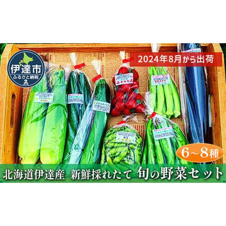 ふるさと納税 新鮮採れたて！旬の伊達野菜セット（6〜8種） 北海道伊達市