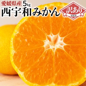 愛媛 西宇和みかん 訳あり 5kg S～Lサイズ混合…