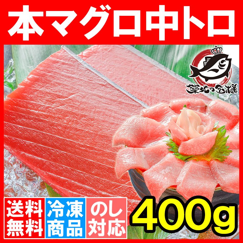 送料無料 本まぐろ 中トロ 400g (本マグロ 本鮪 刺身)