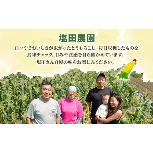 ふるさと納税 北海道 洞爺湖町 北海道産 ピュアホワイト 白い とうもろこし L 10本 朝採り トウモロコシ コーン とうきび 北海道産 玉蜀黍 甘い 新鮮 旬 夏 産…