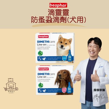 【動物醫院直送】免運隔日配 樂透 beaphar 滴靈靈 防蚤蝨滴劑 犬用 非藥用 天然 狗 驅蚤