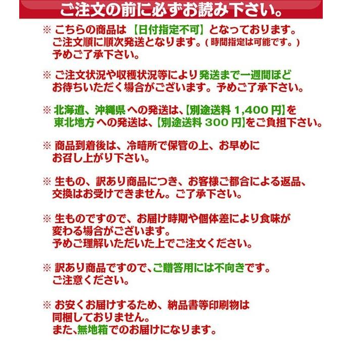 みかん 有田みかん 訳あり 10kg 通常販売開始　和歌山県産 送料無料(北海道、沖縄県、東北地方除く) ミカン みかん 蜜柑 温州みかん ご自宅用 家庭用 産地直送