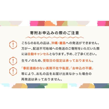 ふるさと納税 先行予約 さくらんぼ 紅秀峰 特秀2Lサイズ 300g 化粧箱鏡詰め 2024年産 令和6年産 山形県産 ns-bst2x300 ※沖縄・離島への配送不可 山形県村山市