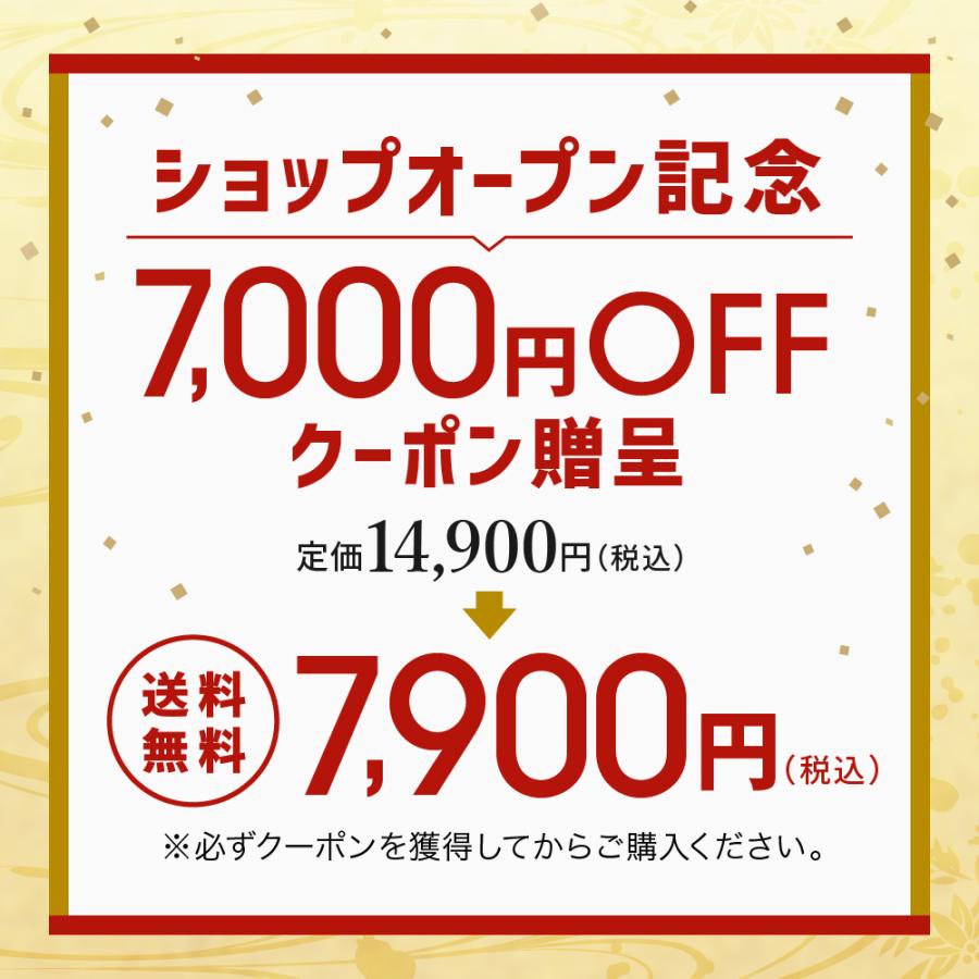 《7,000円OFFクーポン付き》 おせち おせち料理 お節 2023 2024 デリシャスボックス 「和洋の宴」 三段重 3人前 35品目 和洋風 和風 洋風 冷凍 予約 送料無料