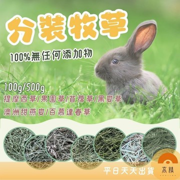 分裝牧草 100g 500g 百慕達 二割 提摩西三割 甜小麥 提摩西 苜蓿草 果園草 義大利黑麥草 百慕達 黑麥 牧草