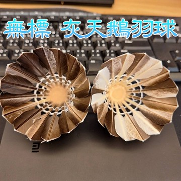 台灣出貨 無標灰鵝毛羽球 無標羽毛球 完美飛行 扎實擊球感 雙拼軟木球頭 cp值爆表 無標羽球 羽人雜貨舖  每桶12入