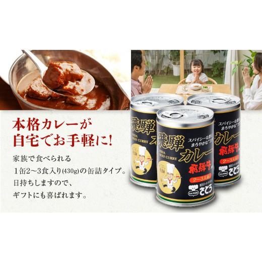 ふるさと納税 岐阜県 高山市 キッチン 飛騨監修 さとうオリジナル 飛騨牛カレー 10缶 飛騨牛入り ビーフカレー 飛騨高山 高山 ご当地カレー …