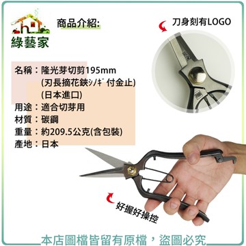 【綠藝家】隆光芽切剪195mm(刃長摘花鋏 ｼﾉｷﾞ付 金止)(日本進口)
