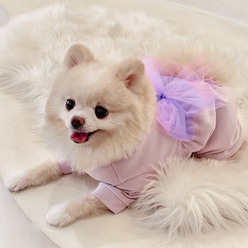 韓國品牌 【梨花娘總代理】🐾BAILEY 🐶韓系甜美夢幻澎澎大蝴蝶結別針(2色)