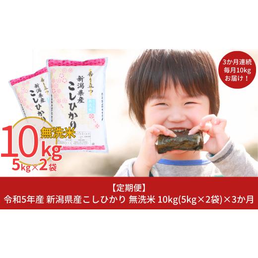 ふるさと納税 新潟県 三条市 [定期便10kg×3ヶ月] 令和5年産 無洗米 新潟県産コシヒカリ（こしひかり） 計30kg 3か月（3ヵ月）連続でお届け  [株式会社白熊]【…