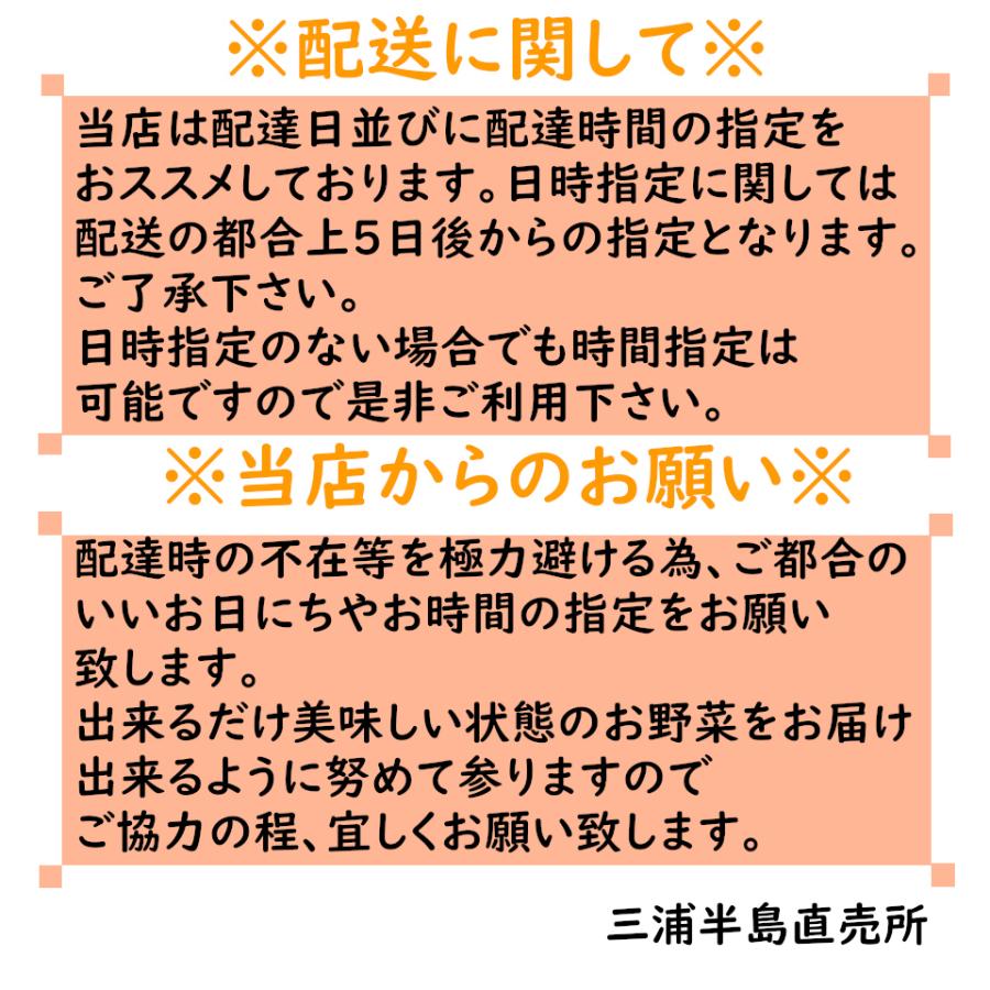 三浦半島直送 訳あり おまかせ 神奈川県産野菜セット 7品 旬の野菜詰め合せ お任せ野菜詰め合わせ 野菜盛り合わせ 送料半額