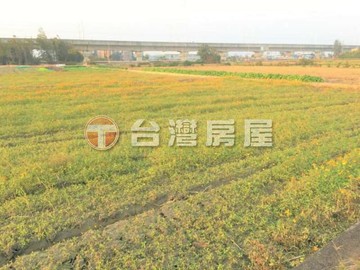 近台31臨路農保地｜桃園市楊梅區楊新路四段