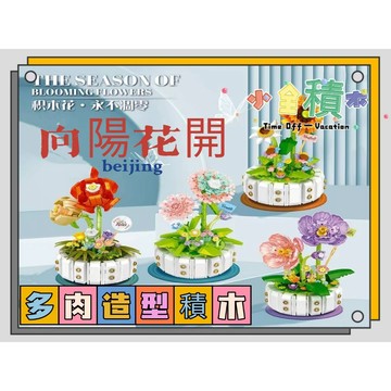 《小全積木》鑽石積木 康乃馨 玫瑰花 向日葵 拼裝積木 模型 多肉造型積木 植物積木 多肉植物 造型積木 模型