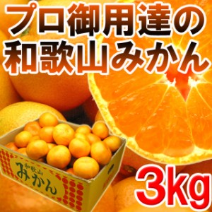 プロ御用達☆訳あり和歌山みかん３kg yf（沖縄・離島配送不可）