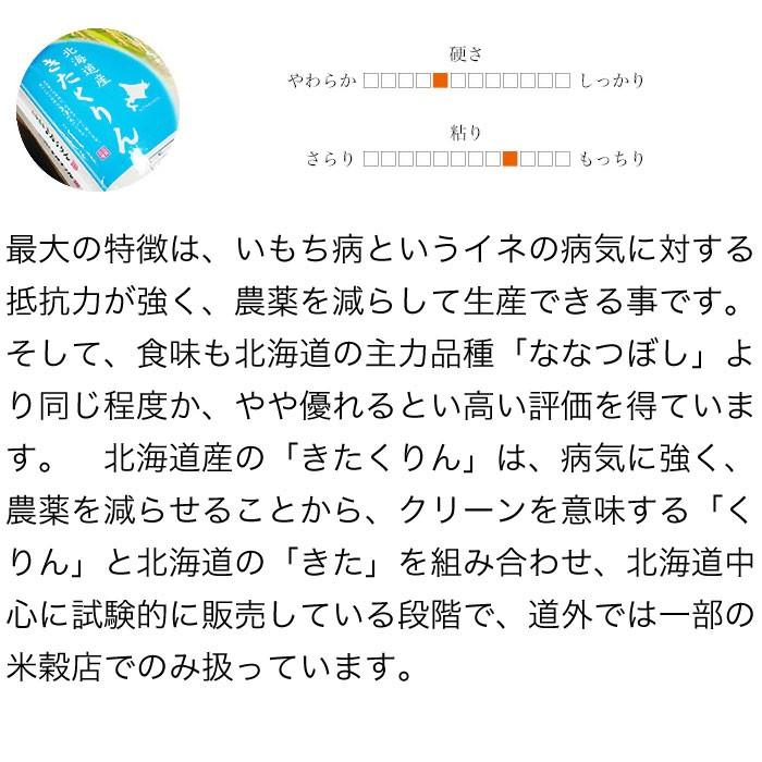 新米 米 5kg お米 きたくりん 北海道産 白米 令和5年産 送料無料