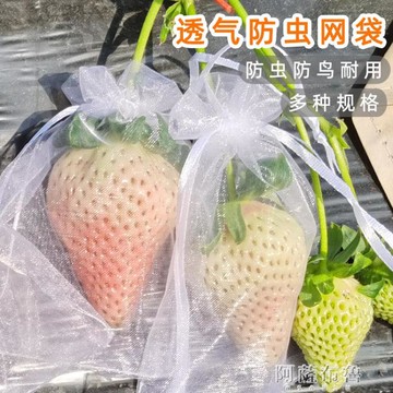 防鳥網 草莓防蟲袋水果套袋防鳥用網袋透氣陽台番茄無花果葡萄防蟲紗網袋【摩可美家】