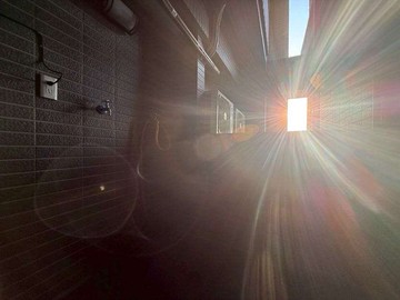 《大自然的最後歸宿》第一章｜台中市太平區太順路