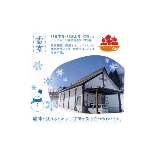 ふるさと納税 山形県 寒河江市 雪室りんご ５kg「生産者こだわりの樹上完熟 ふじりんご」小玉サイズ 2023年産 令和5年産 【2024年1月下旬頃〜3月初旬頃発送予…