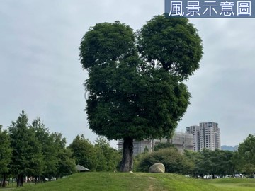 12單元南興公園東光國小101坪建地｜台中市北屯區竹興段