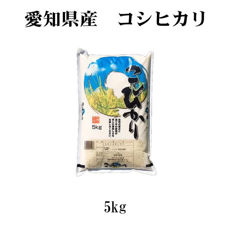 新米 お米 5kg 送料別 白米 コシヒカリ 愛知県産 令和5年産 お米 5キロ あす着く食品