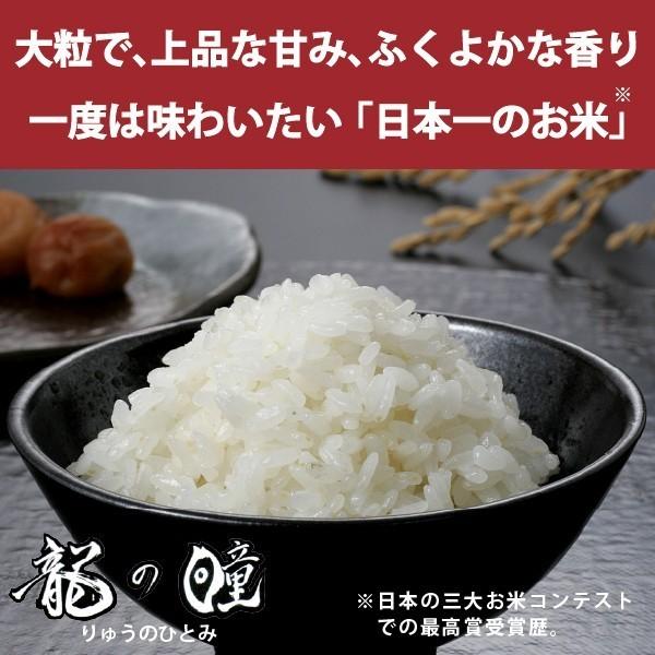 新米 龍の瞳 1kg　岐阜県産 令和5年産米 白米 プレゼントに最適 ご注文後に精米・発送 送料無料（一部地域送料加算）