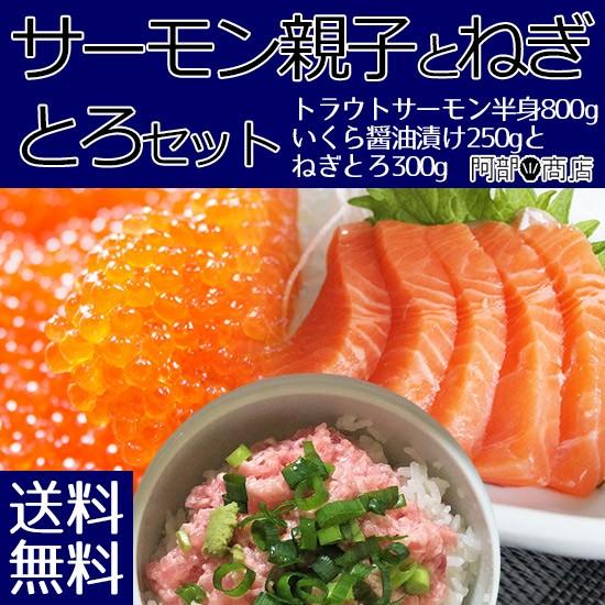 送料無料 サーモン親子とねぎとろセット  サーモン半身 800g前後 いくら醤油漬け250g ネギトロ300g 父の日 ギフト