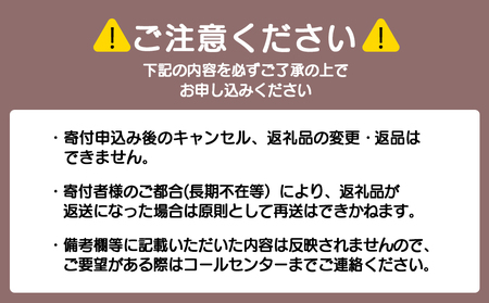 砂金ラーメン 塩 2食 金箔入り 黒い? 竹炭北海道