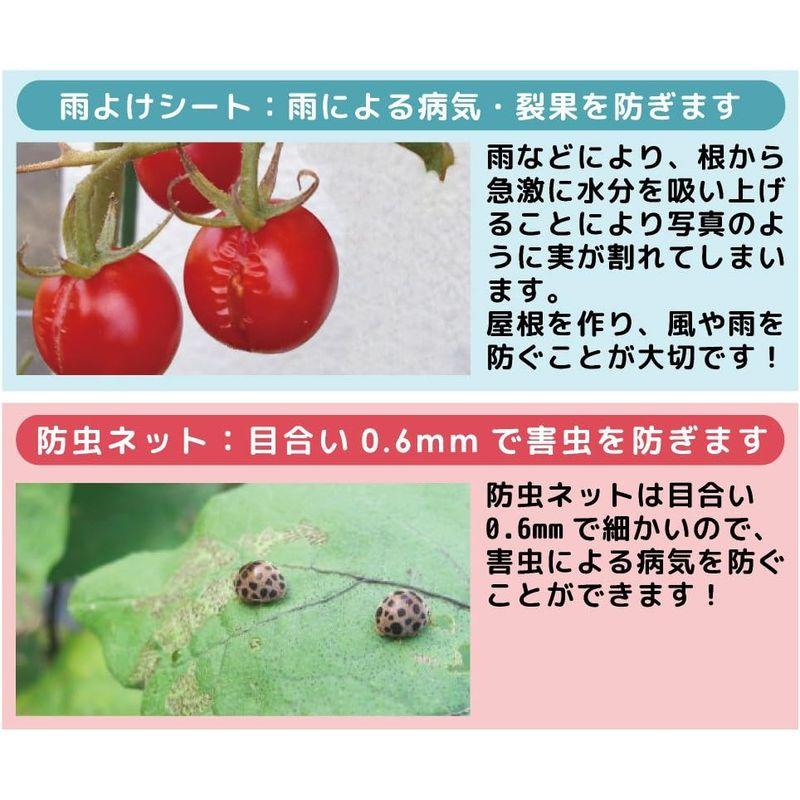 daim 雨よけ 虫よけ ミニ 菜園 ハウス トマト 支柱 屋根 トマト栽培 防虫ネット 園芸用品 園芸 ガーデニング トマトの雨よ