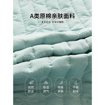 床笠罩床罩2025新款床裙單件床墊保護罩帶裙邊床套花邊款四季通用