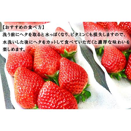 ふるさと納税 『予約受付』唐津産 いちごさん 250g×8パック(合計2kg) 濃厚いちご 苺 イチゴ 果物 フルーツ 佐賀県唐津市