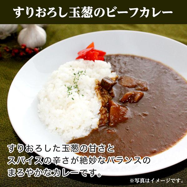 グルメ まとめ買い 当店チョイス 厳選カレー 計25食 バラエティセット ご当地 レトルトカレー 食品 送料無料 得トクセール オープン記念 お取り寄せ q1