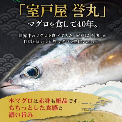 ふるさと納税 室戸市 厳選本マグロ赤身1柵