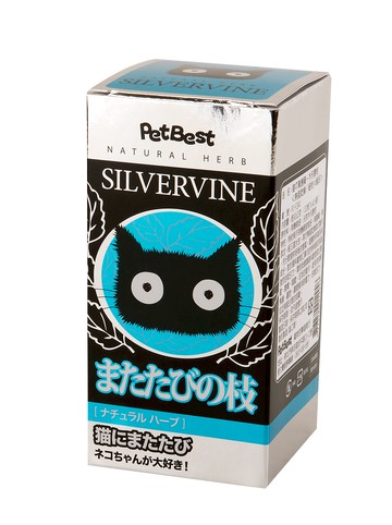 PETBEST 木天蓼【細枝】 天然草本 貓咪零食  蟲癭果  40g  1個