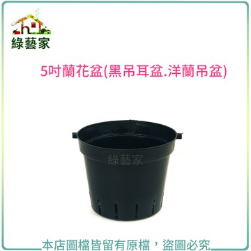 【綠藝家】5吋蘭花盆(黑吊耳盆.洋蘭吊盆)