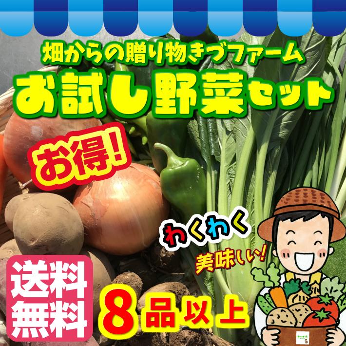 ☆農薬や化学肥料を不使用、または減農薬で育てた野菜たちです！お試し野菜セット８品以上！