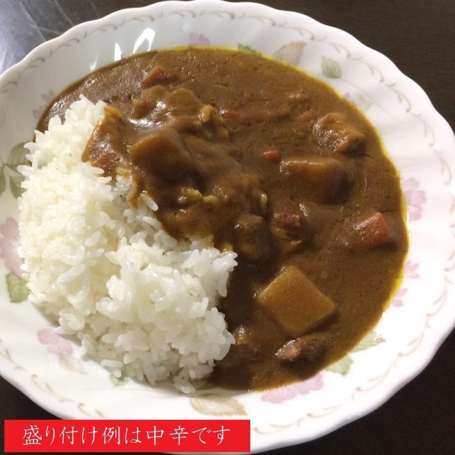 北の文明開化 函館カレー 甘口 ２００ｇ ２個入