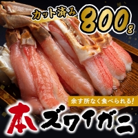 北見市加工 生冷本ズワイガニセット 800g 昆布入 海鮮 魚介類 魚介 蟹 かに カニ セット 鍋 カニ鍋 カニ爪 ズワイガニ かにしゃぶ カット済 贈答 ギフト 熨斗 のし ふるさと納税