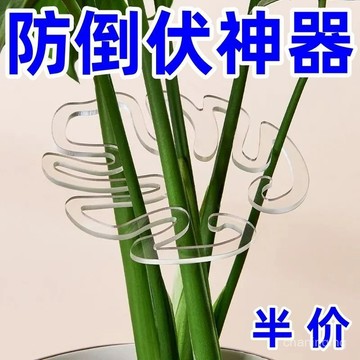 龜背竹支撐桿花支撐架枝幹收攏架植物防倒伏支架綠植固定神器花架🔥525🔥 DK0A
