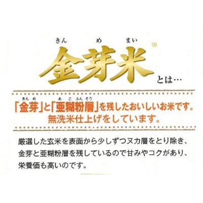 ふるさと納税 安来市 BG無洗米　金芽米にこまる2kg