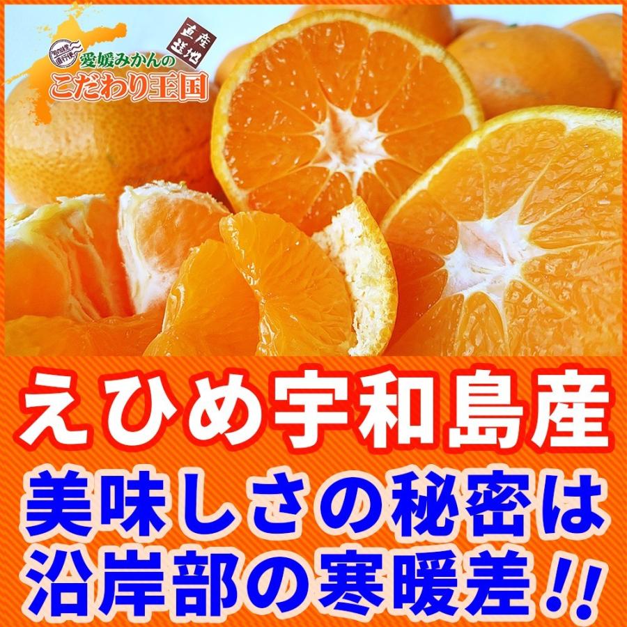 小玉みかん こまちゃん お試し用 2kg 愛媛県産 小玉 みかん 家庭用 訳あり 愛媛みかん 送料無料 プチ 小粒 2S 3S 箱買い 蜜柑 温州 早生 南柑 20号 SS 2キロ