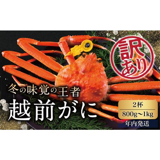 ふるさと納税 福井県 越前市 越前がに（オス）「ずわいがに」大サイズ（800g-1kg） 訳あり 2杯