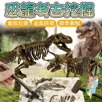 【🏆蝦皮口碑賣家🔥台灣現貨】 3D考古恐龍化石 挖掘化石 DIY 恐龍化石 考古挖掘恐龍 挖掘玩具 考古化石 兒童禮物