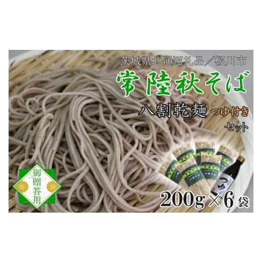 ふるさと納税 茨城県 行方市 DX-9常陸そば乾麺6袋　ご贈答用つゆ付セット