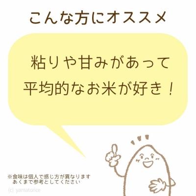 ふるさと納税 碧南市 愛知県産コシヒカリ 5Kg　※定期便6回　H074-552