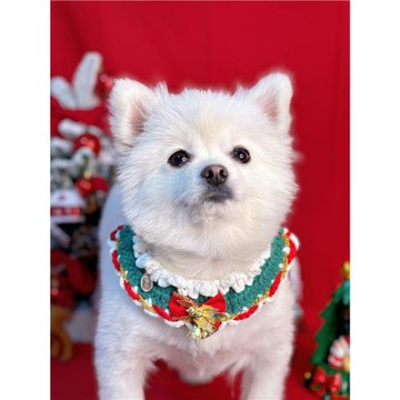 寵物圣誕節裝飾衣服圍兜狗圍巾貓咪新年帽子泰迪圍脖可愛拍攝飾品