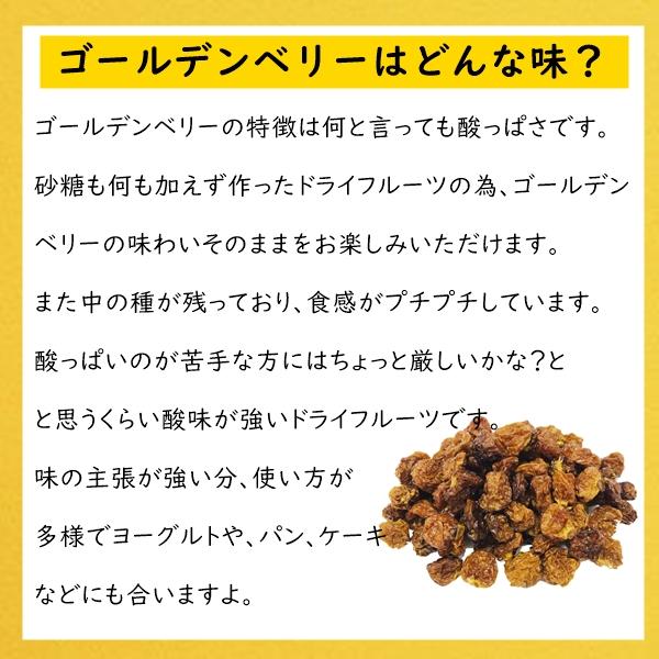 ドライ ゴールデンベリー ぴったりサイズ 300g 無添加・砂糖不使用 別名インカベリー 酸っぱさがクセになるドライフルーツ ネコポス便発送