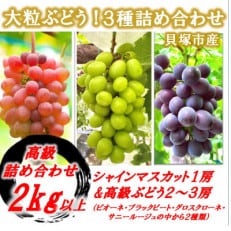 高級ぶどう3種詰合せ2kg以上 2024年8月より発送