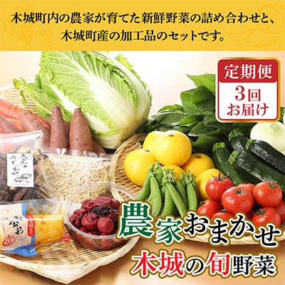 ふるさと納税 木城町 農家おまかせ木城の旬野菜 全3回