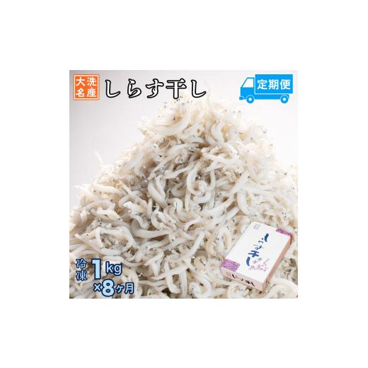 ふるさと納税 茨城県 大洗町 定期便 しらす干し (1kg×8か月) 天然 ふっくら 大洗 名産 しらす シラス 魚 さかな 魚介 離乳食