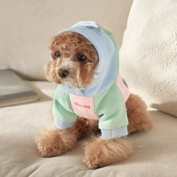韓國品牌 【梨花娘總代理】🐾BAILEY 🐶秋冬新品 繽紛馬卡龍拼接網球保暖親膚連帽寵物服飾